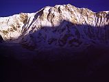 306 Annapurna Main, Central, East Summits Just After Sunrise From Annapurna Sanctuary Base Camp I scrambled up the moraine ridge and gazed for the first time at the entire South Face of Annapurna. My own reaction was the same as Don's: the first impression was one of size - it was a really huge face, one of steepness and then, as I examined each feature through the binoculars, I realized that the Face could be broken into artes, ridges, gullies, separate snowfields and rock walls. This was something that we could climb, and from that moment I felt confident we had a good chance (Chris Bonington, Annapurna South Face).